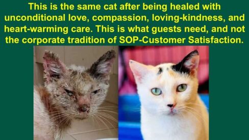 How Many Guests Feel – Part 2