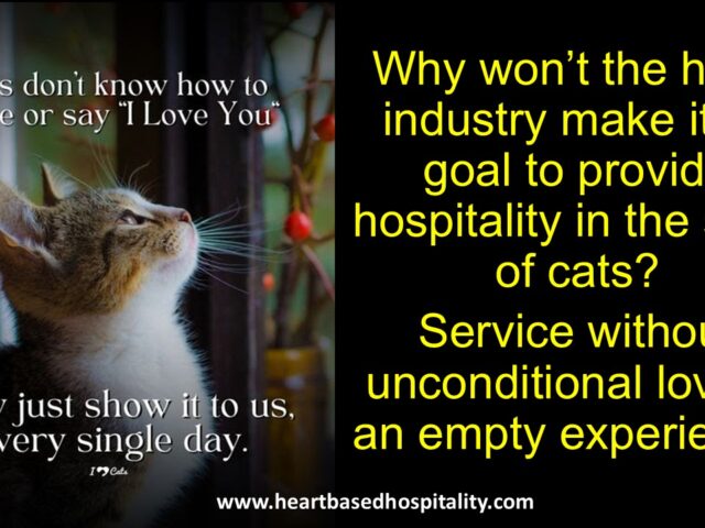Show Hospitality in the Spirit of Cats